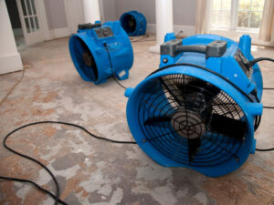 industrial air movers drying out kitchen floor in Greenville NC home