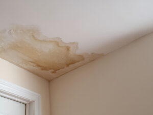 ceiling leak due to roof damage and rain in Rocky Mount NC