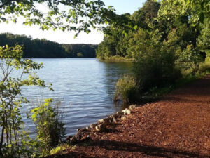 Bass Lake Park in Holly Springs NC