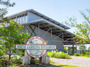 North Carolina Estuarium in Washington NC