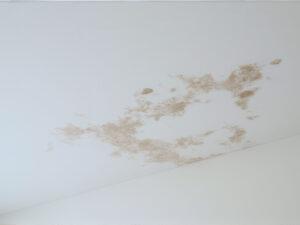 water stains on ceiling from roof leak Jacksonville NC