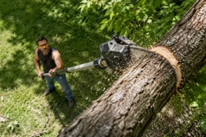 homeowner performing storm season maintenance by trimming a tree to reduce property damage risk