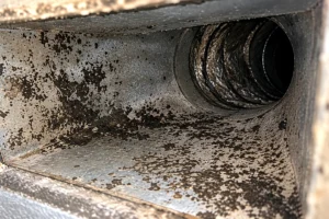 mold in HVAC ducts inside a residential NC home
