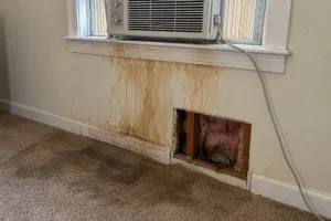 water damage behind walls in Goldsboro, NC after a window air conditioner leak